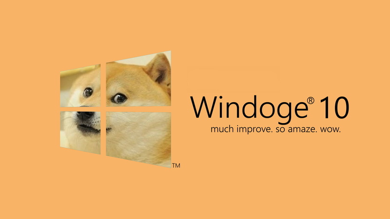 1080P, message, western script, no people, yellow, orange color, fun, mammal, microsoft windows windows 10 doge dog memes, orange background, copy space