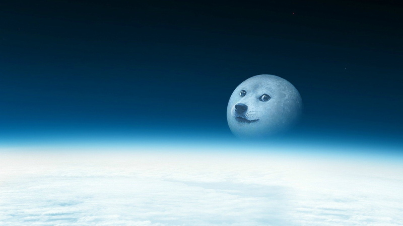 digital composite, animals in the wild, humor, creativity, fantasy, cloud - sky, anthropomorphic smiley face, human representation, doge, emotion, no people