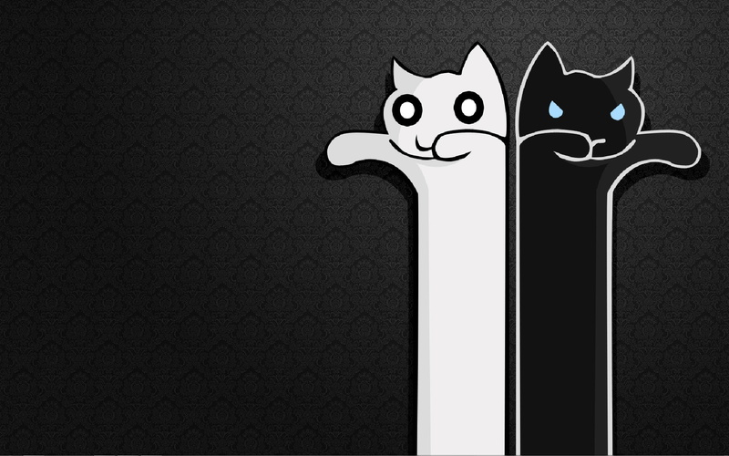 1080P, black, white, cats, Longcat, Tacgnol