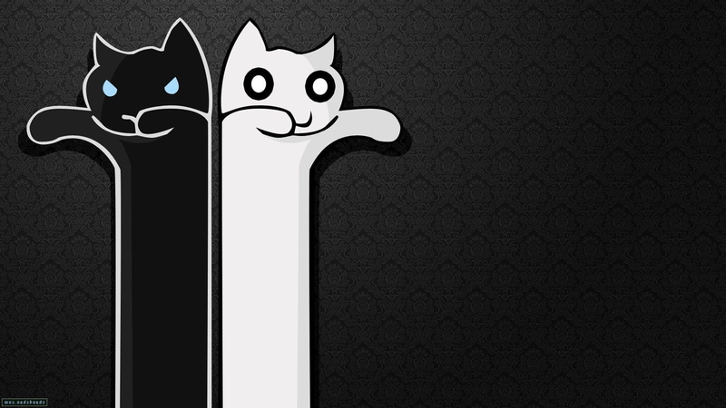 cat, minimalism, Longcat, 1080P