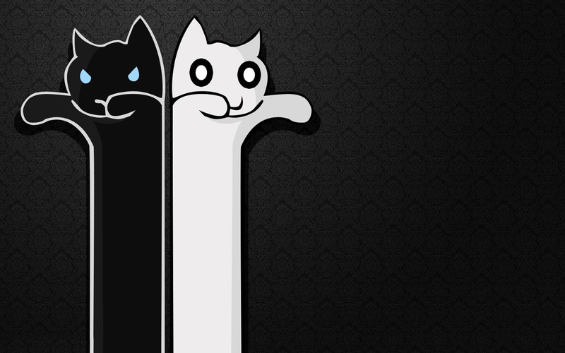 cat, animal themes, design, Longcat, Memes, creativity, domestic, indoors, pattern, fantasy Art, copy space, mammal, animal representation, kittens, feline