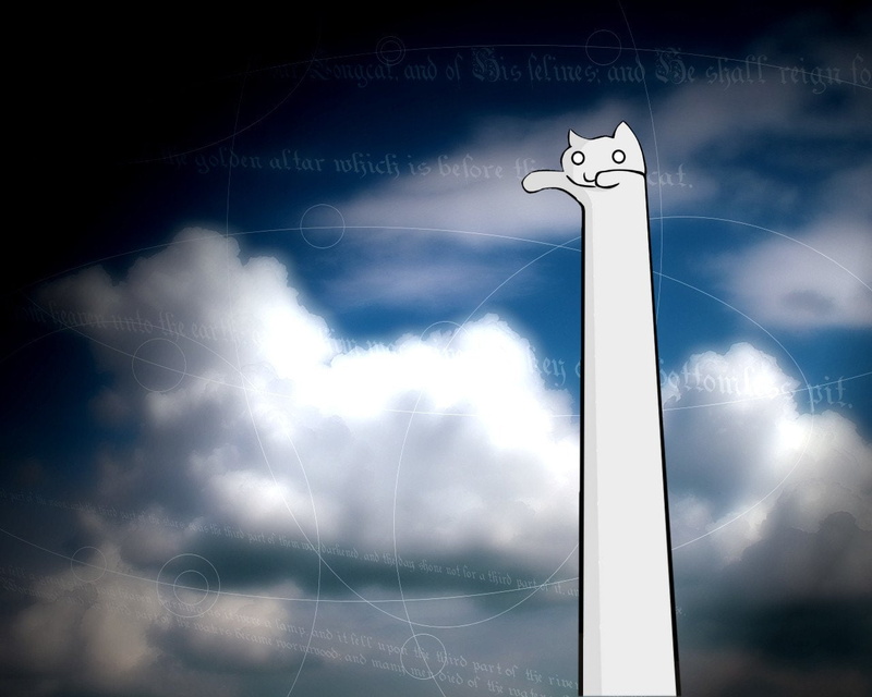 Humor, Funny, Cat, Longcat, 720P