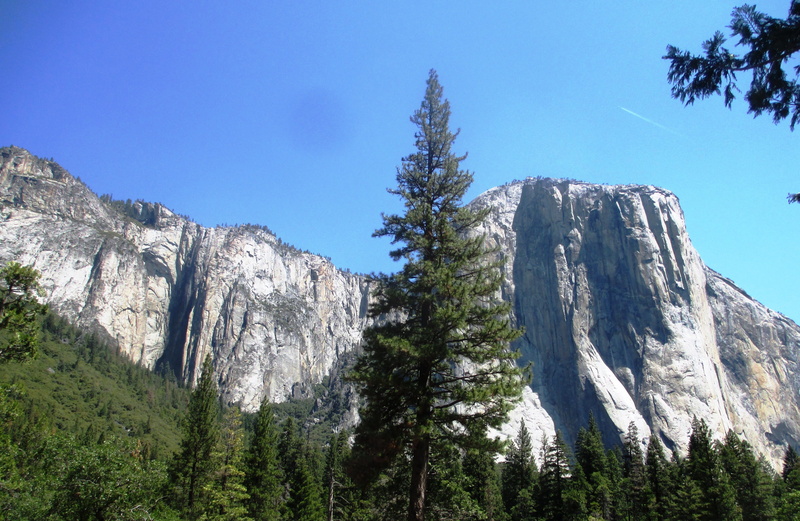 growth, el capitan, 4K, rock, scenics - nature, non-urban scene, outdoors, yosemite national park, tranquility, national, scenic, no people, formation