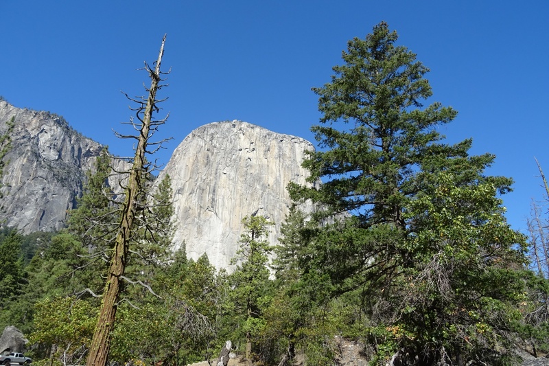 america, scenery, tranquility, usa, plant, 2K, incense cedar, no people, coniferous tree, monolith, mountain, california, tree, sky, natural, blue, scenic