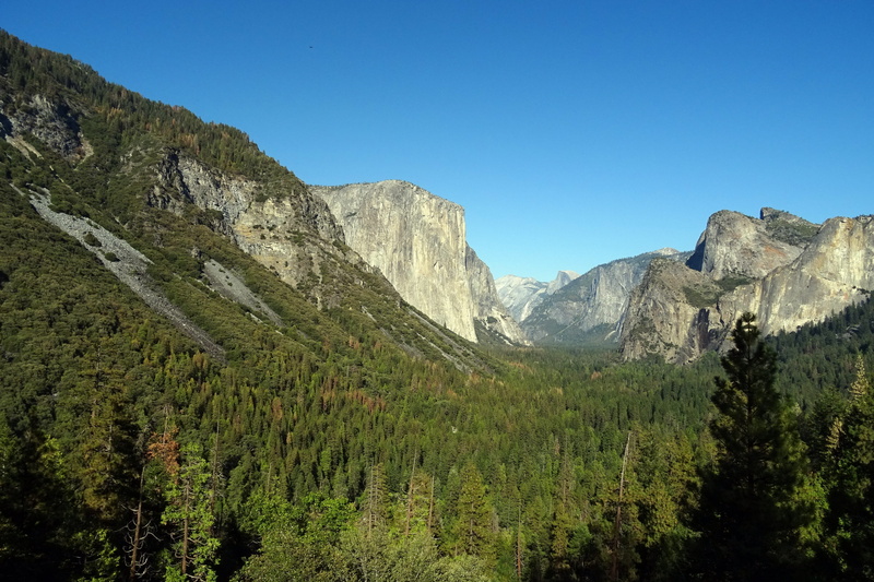 scenics, granite, plant, sierra nevada, outdoors, geology, scenic, tranquility, pine woodland, pine tree, mountain peak, america, geological, beauty in nature