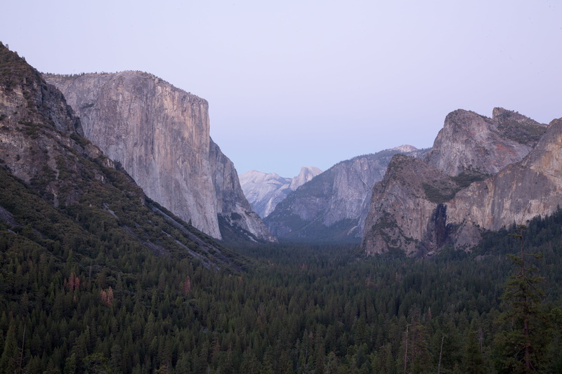 trees, granite, scenics, pine tree, non-urban scene, rock, mountain peak, physical geography, usa, coniferous tree, tree, view, tranquil scene, america