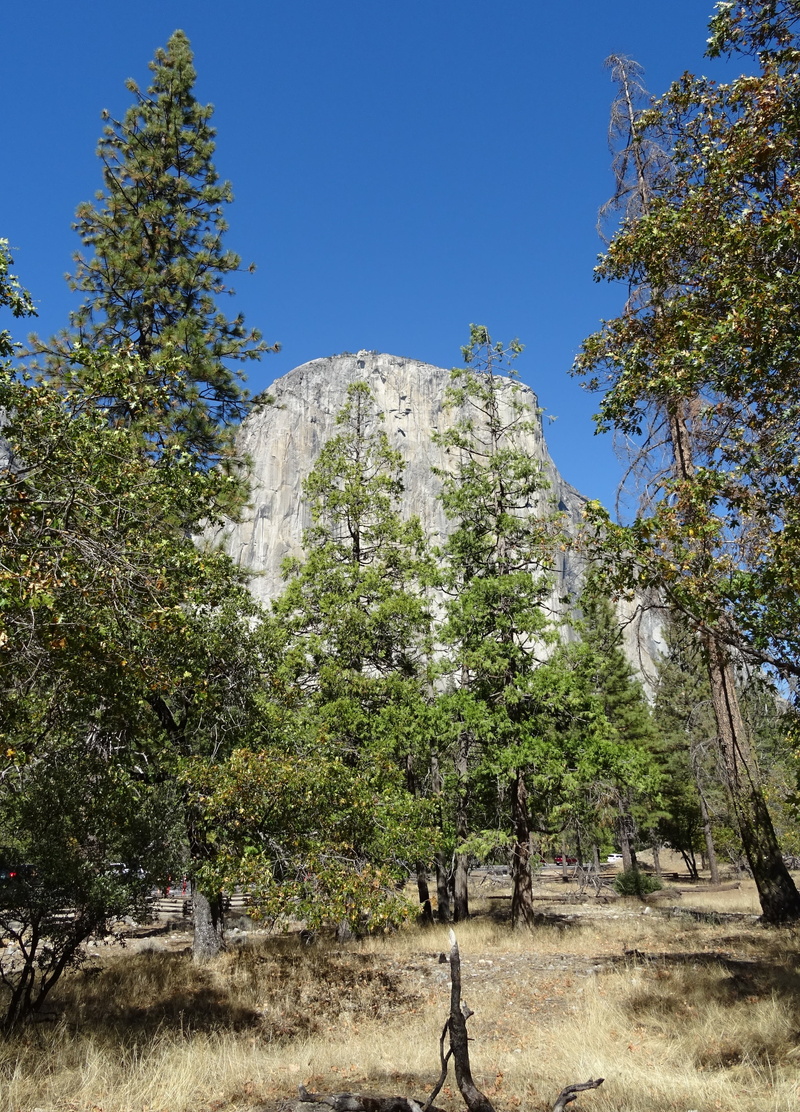 national park, plant, rock formation, geological, field, tranquility, granite, geology, tranquil scene, scenery, natural, california, 2K, tourism, sky