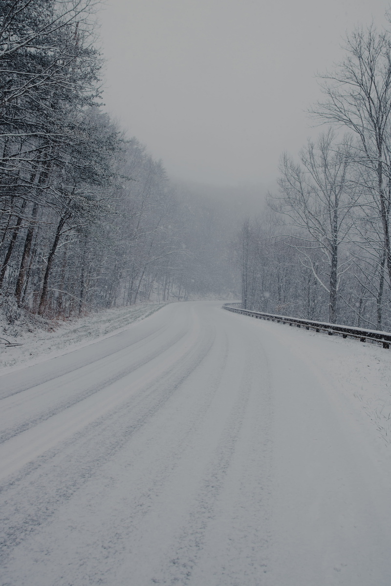 snowy, sky, snow, tranquil scene, mood, tranquility, tellico plains, white color, cold, landscape, nature, diminishing perspective, trees, transportation