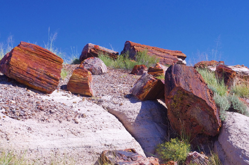 rock - object, semi-arid, opal, landscape, scenics - nature, day, deadwood, erosion, geology, beauty in nature, sandstone, solid, outdoors, environment