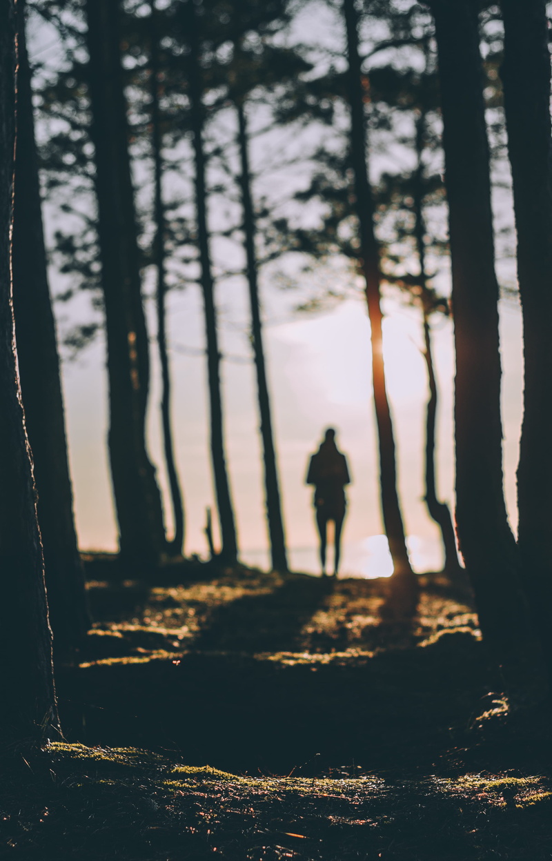near, adult, 4K, standing, trunk, dusk, sunset, tree trunk, tree, photography, leisure activity, person, daytime, hiking, body, woodland, land, growth