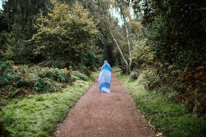 young, country, plants, leisure activity, green color, covered, forest, women, walk, day, wandering, woman, tranquility, full length, plant, landscape