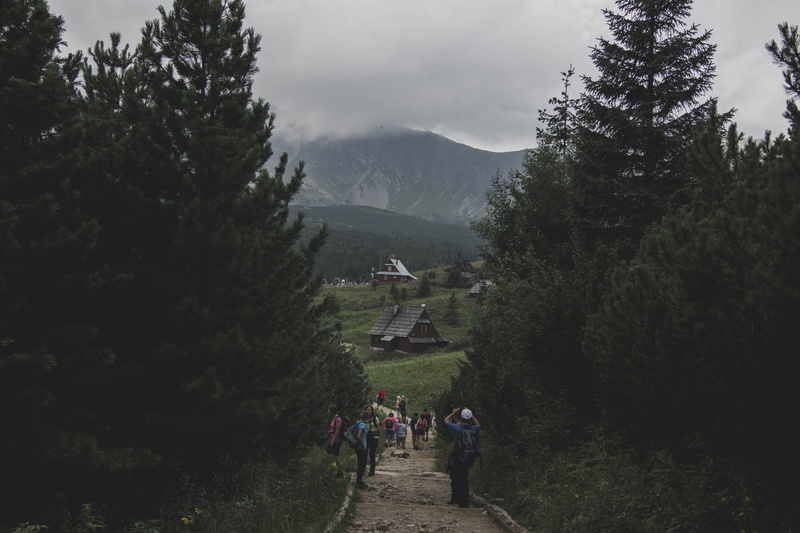 standing, travel, growth, architecture, houses, built structure, floor, 5K, leisure activity, fog, foggy, large group of people, forest, outdoors, grass