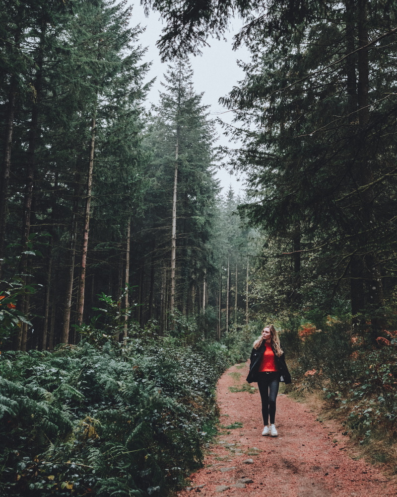 tree, leisure activity, adventure, wear, trail, woods, trees, land, outdoors, full length, 4K, women, female, adult, unpaved, unpaved pathway, environment