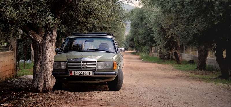 car, dust, daylight, motor vehicle, nature, parked, landscape, land, trunk, albania, 4K, plant, unpaved road, day, vehicle, land vehicle, tree trunk, growth