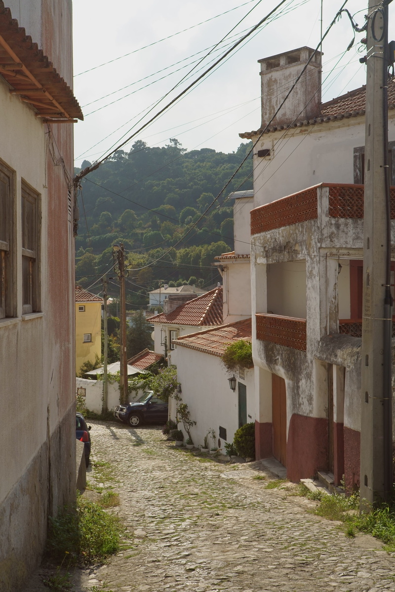 built structure, urban, plant, house, buildings, city, street, 2K, architecture, facade, sky, unpaved road, houses, tourism, direction, family, transportation