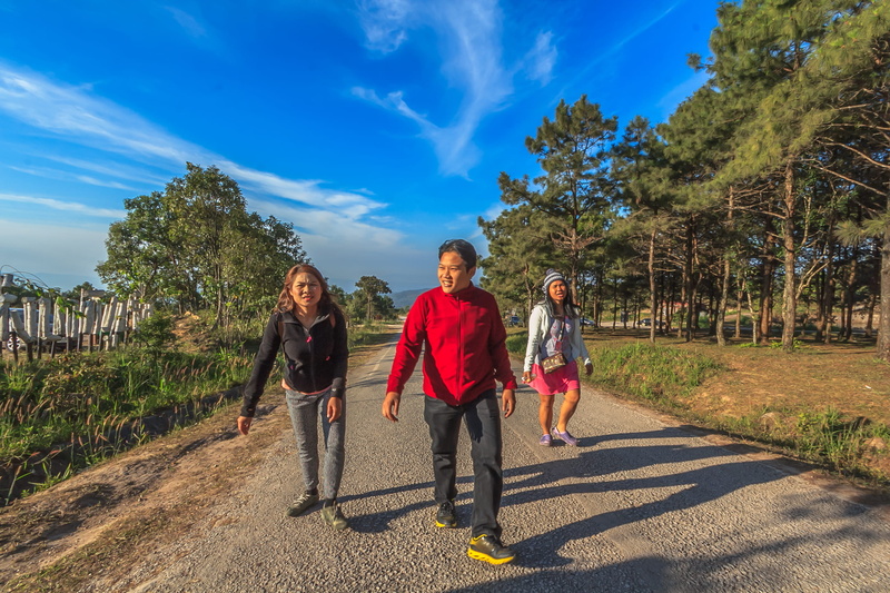woods, sunlight, sister, daughter, positive emotion, full length, lifestyles, childhood, 2K, tree, two, unpaved pathway, nature, girls, walking, sky, grass