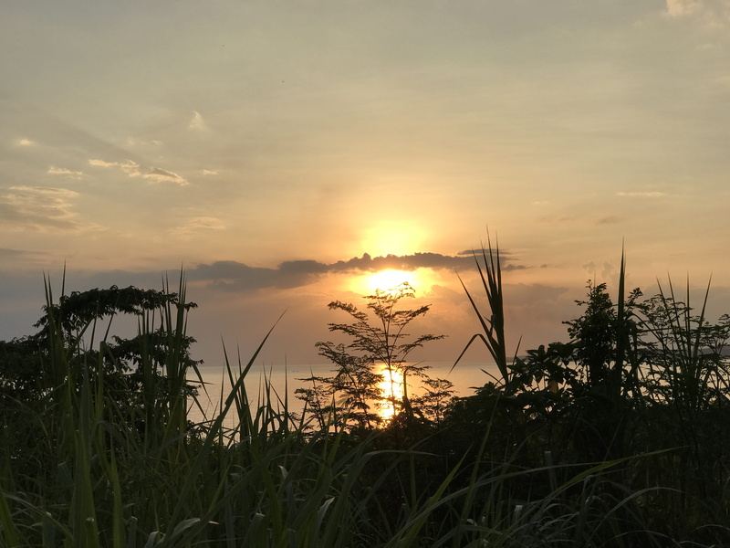 idyllic, scenics - nature, beauty in nature, grass, sunset, no people, outdoors, non-urban scene, tranquil scene, beautiful sunset, water, oslob, 4K, asia