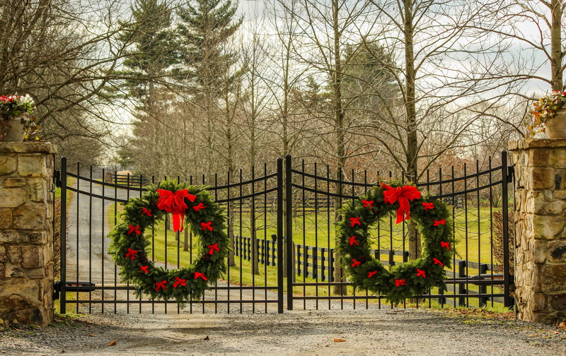 4K, bare tree, evergreen wreath, wreaths, barrier, estate, day, hanging, protection, plant, christmas decorations, built structure, red, tree, stone pillars