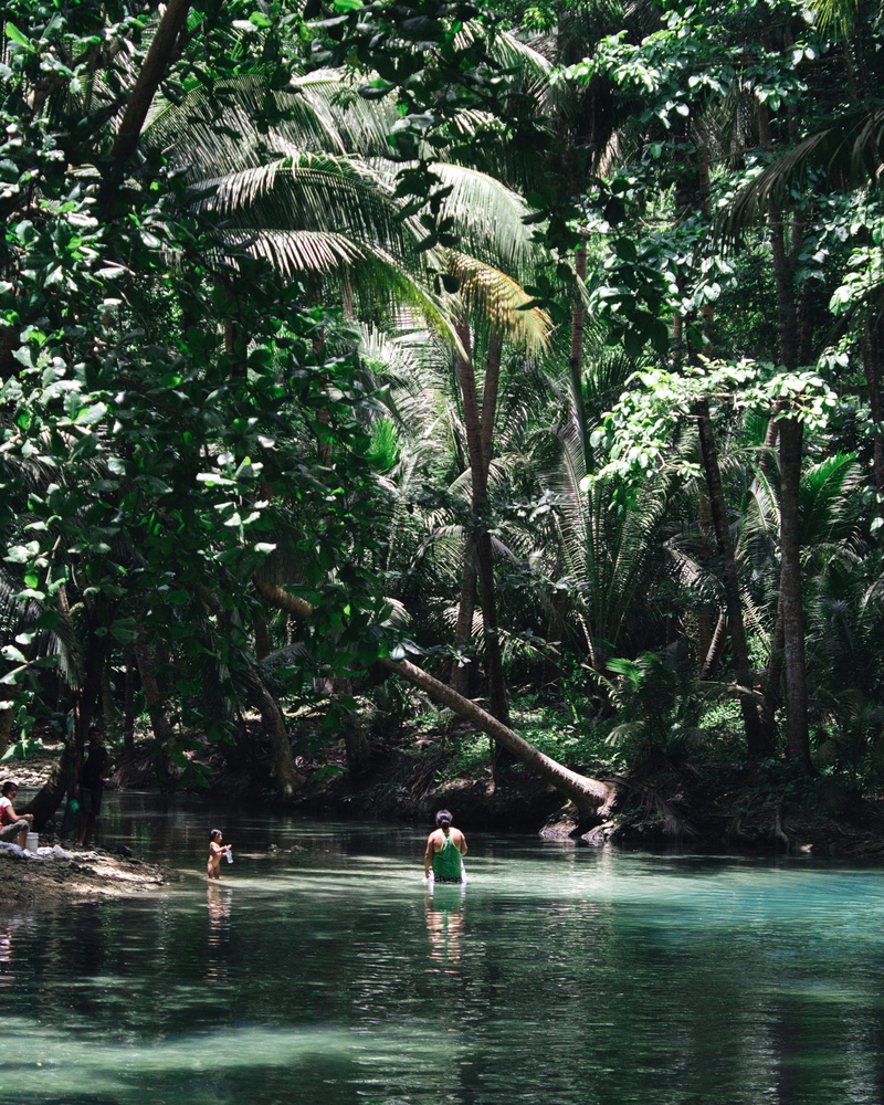 forest, tree, outdoors, philippines, nature, trip, beauty in nature, people, vacations, plant, leisure activity, swimming pool, holiday, badian, growth