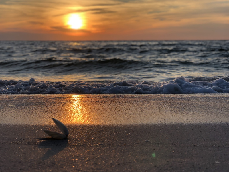 ocean, cloud - sky, water, beach, sky, sunset, dawn, tranquil scene, photo, orange color, sunlight, shore, golden hour, beauty in nature, hour, seascape