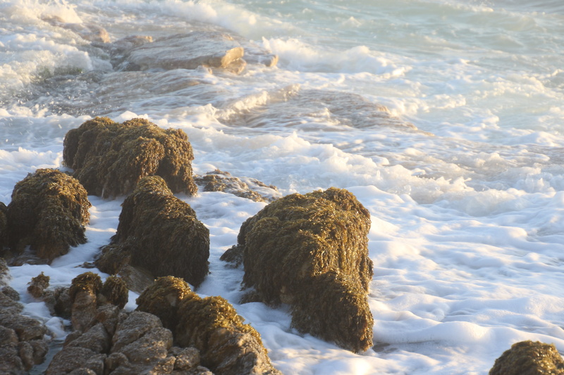 ocean, body, day, beauty in nature, landscape, rock, splash, tranquil scene, solid, peaceful, winter, rocks, Cape Town, seafoam, land, background, sea