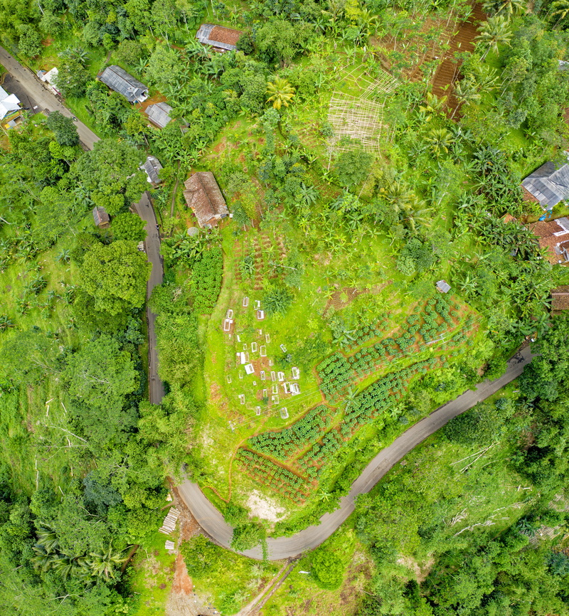 indonesia, landscape, grass, aerial, summer, desktop, plant, garden, vegetable, environment, eye, beauty in nature, s, plants, outdoors, 5K, farm, no people
