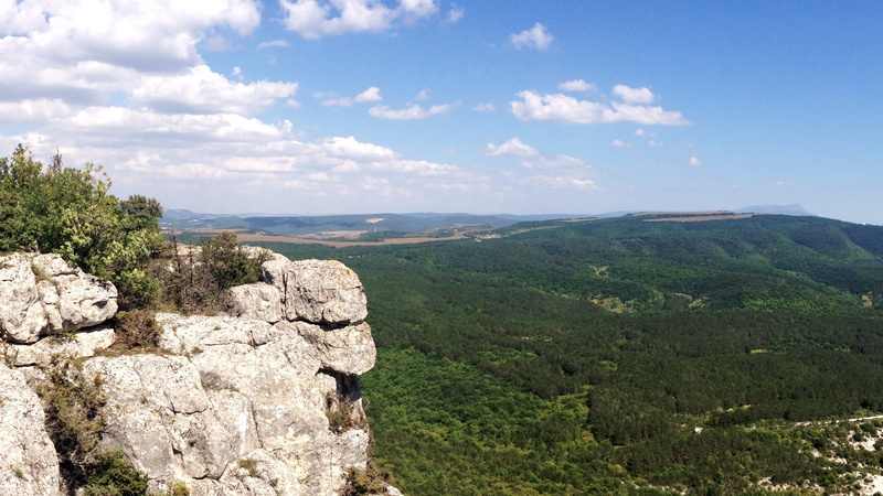 forest, tree, no people, journey, beauty in nature, tranquility, rock, tranquil scene, landscape, nature, scenics - nature, cloud - sky, rock - object