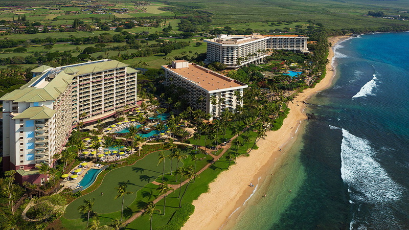 clear, view, resort, height, spa, water, maui, beaches, swimming, regency, hyatt, palm, 1080P, trees, sandy, pools