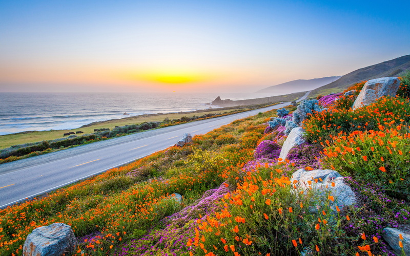 morning, land, tranquility, flowering plant, charming, road, landscape, purple, 4K, twilight, multi colored, mountain, coastal, orange, water, environment
