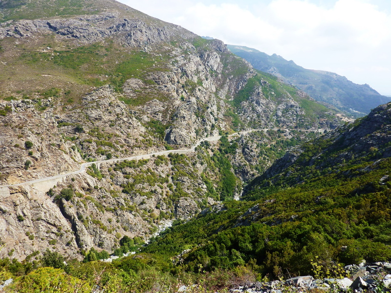 france, scenics - nature, non-urban scene, beauty in nature, green color, coast, corsica, tranquil scene, tree, lee st, formation, rock, environment, sky