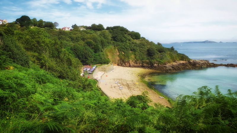 summer, fermain bay, island, sand, coastline, sea, non-urban scene, plant, outside, seaside, green color, high angle view, beach, beauty in nature, cloud - sky