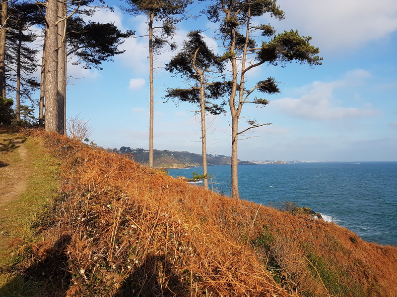 scenics - nature, beach, land, horizon, sea, tranquil scene, non-urban scene, east coast guernsey, horizon over water, plant, outdoors, 4K, guernsey, nature