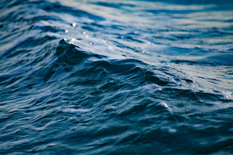 shape, swimming, mammal, waterfront, nature, body, underwater, water, ocean, wafe, sea, marine, mood, backgrounds, blue, 5K, no people, rippled, day, wet