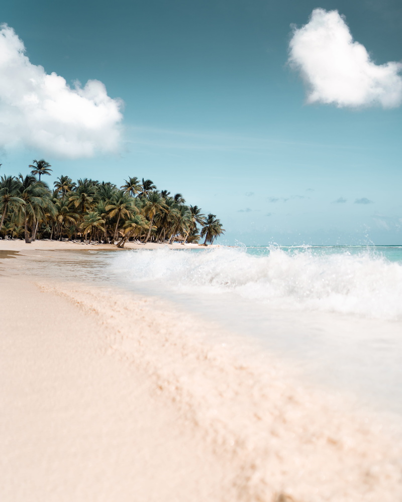 seashoreduring, daytime, power in nature, caribbean, blue sky, tropical, tranquil scene, photography, day, sand, nature, land, scenics - nature, wave, coconut palm tree