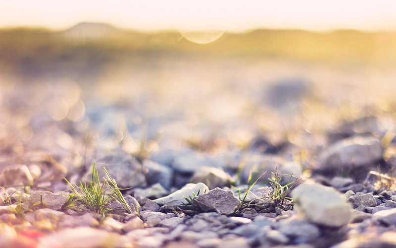 stones, rocks, warm, grass, 1080P, nature, hd, macro