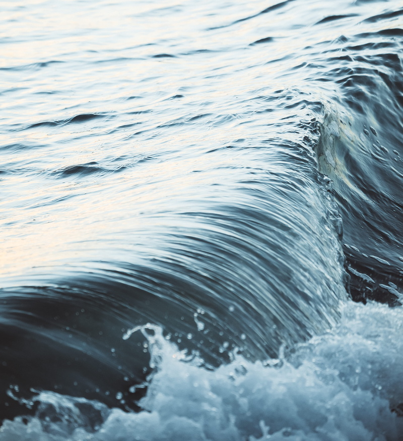 one animal, untitled, no people, splashing, close-up, swimming, purity, marine, waves, beauty in nature, water, day, nature, waterfront, rippled, motion