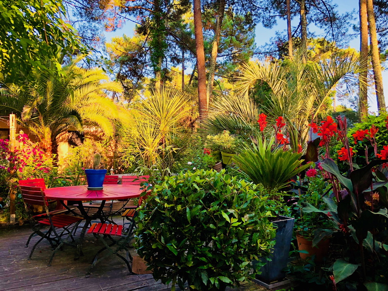 hossegor, chair, growth, france, plant, soorts-hossegor, outdoors, garden, sunlight, 4K, 1622 avenue de bordeaux, empty, tranquility, red table, plant part