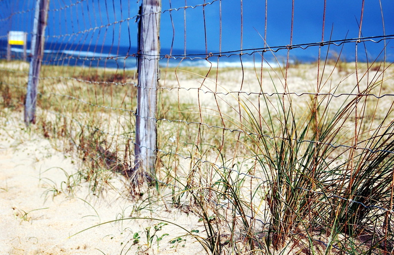 boundary, sand, safety, nature, france, field, dunes, grass, no people, tranquility, sky, security, focus on foreground, ocean, sand dune, sea, 1080P