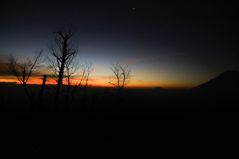 orange color, dieng, trees, 5K, plant, sunset, tranquility, environment, back lit, outdoors, scenics - nature, sky, copy space, landscape, indonesia, bare tree