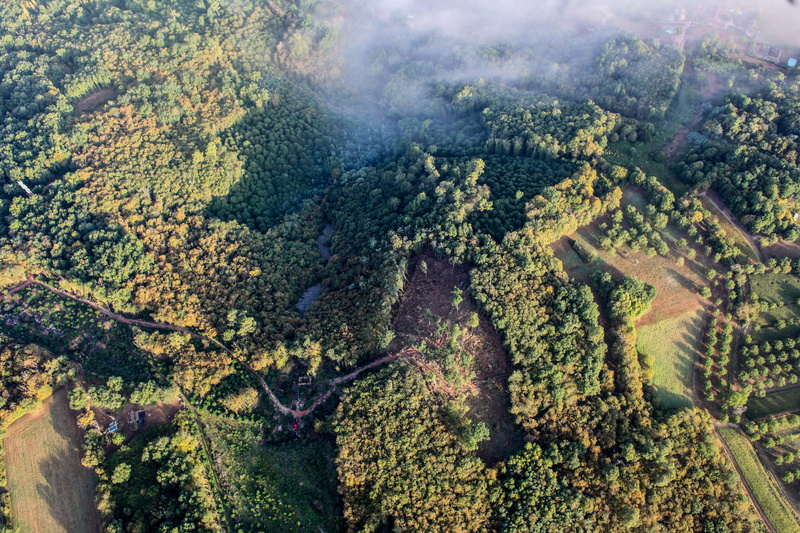day, forest, aerial view, trees, photography, mist, landscape, growth, beauty in nature, environment, green color, 5K, skyview, cloud, leafe, non-urban scene