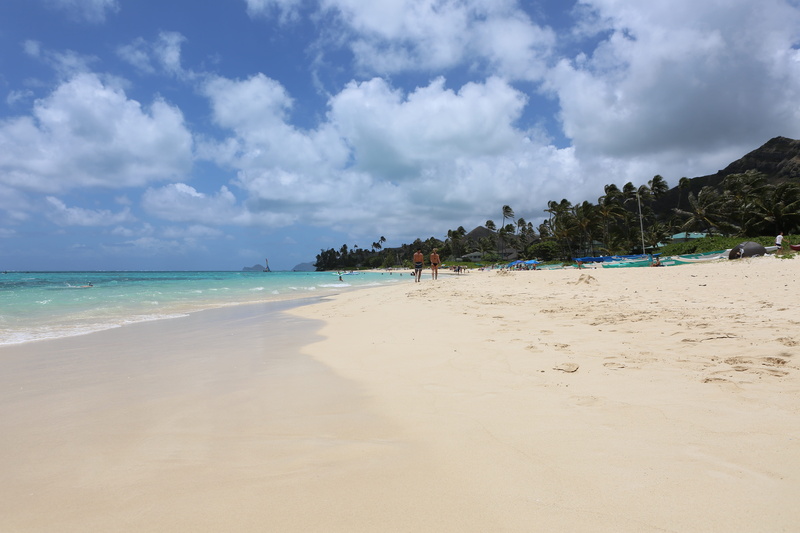 trees, sea, water, tree, united states, horizon over water, cloud - sky, beaches, non-urban scene, beach, kailua, land, incidental people, horizon, 5K