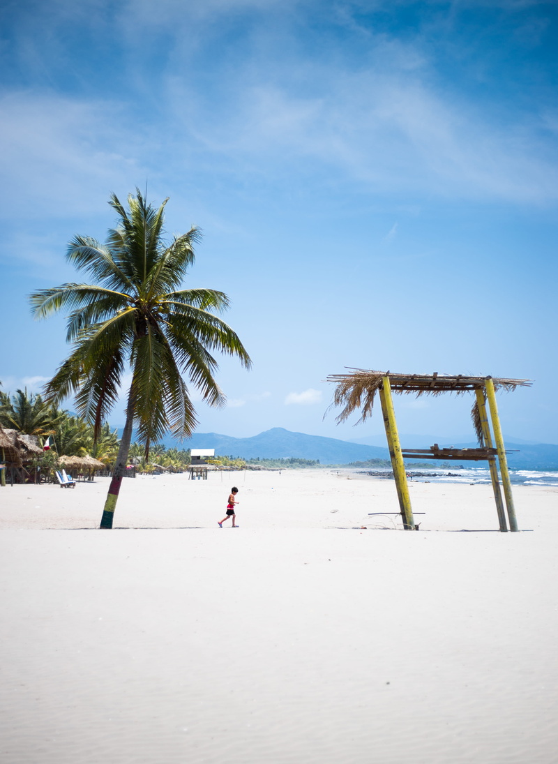 nature, real people, sea, palm tree, leisure activity, minimalist, holiday, water, one person, mexico, plant, land, sand, beauty in nature, palm trees