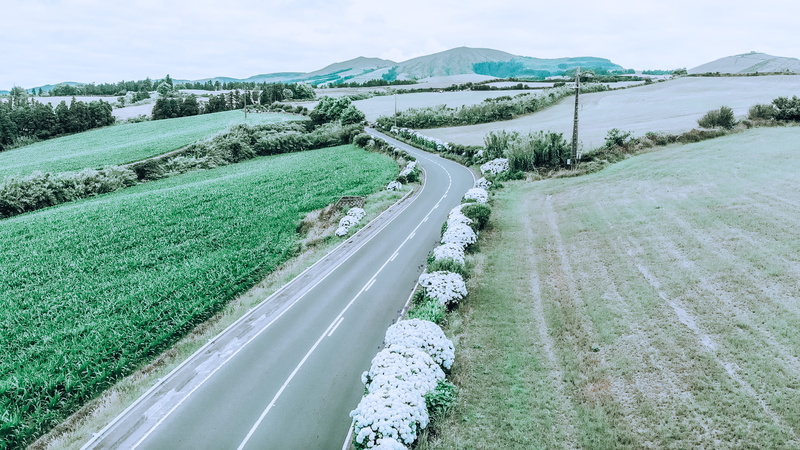 non-urban scene, travel, day, transportation, land, plant, drone, 2K, azores, sao miguel, tree, sky, scenics - nature, nature, growth, mountain, outdoors