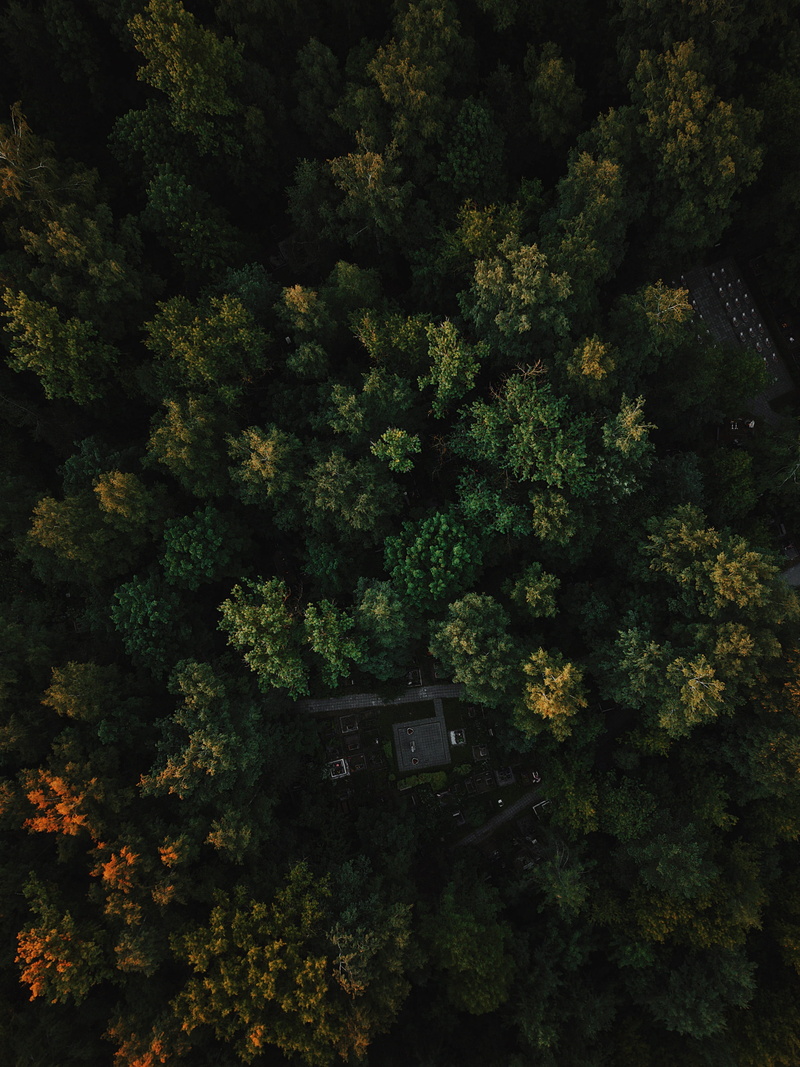 architecture, outdoors, green forest, nature, dark green, aerial view, aerophoto, daytime, woodland, drone, no People, landscape, building Exterior, mavic