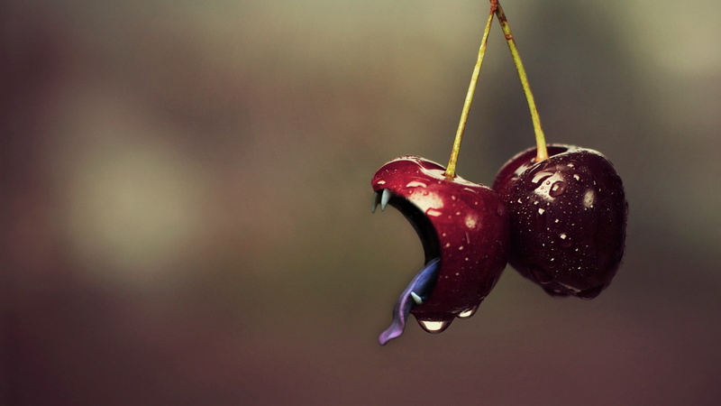healthy eating, two, ripe, cherry, wellbeing, food and drink, day, plant stem, cherries, berry fruit, food, mouths, fruit, nature, cherries (food), hanging