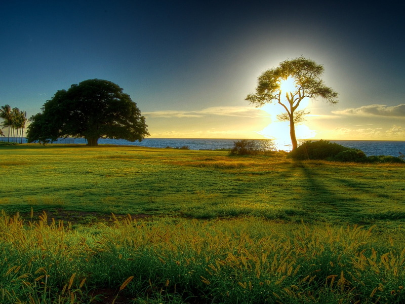 colors, hd, 720P, sweet, sky, water, colorful, green, nature, blue, nice, spring, tree, beuty, cute