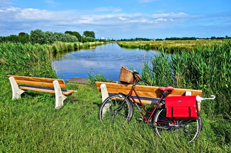 wooden, scenic, scenics - nature, landscape, lake, netherlands, growth, red, 4K, outdoors, dutch landscape, seat, dutch, bench, polder, land, nature, idyllic