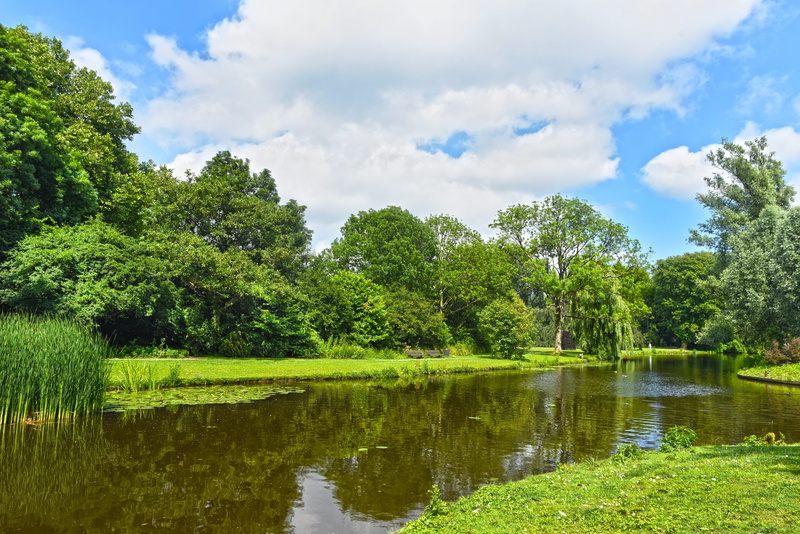 no people, 5K, pond, surrounded, foliage, beauty in nature, banks, landscape, daytime, tranquility, plant, scenics - nature, cloud - sky, tree, park, tranquil scene