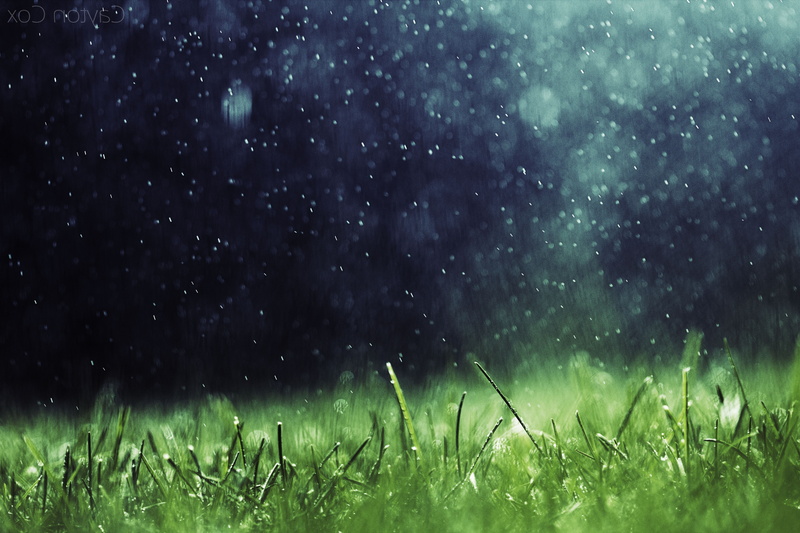 star - space, green color, drop, no people, field, sky, grass, artwork nature rain grass, night, blade of grass, astronomy, wet, raindrop, growth, plant