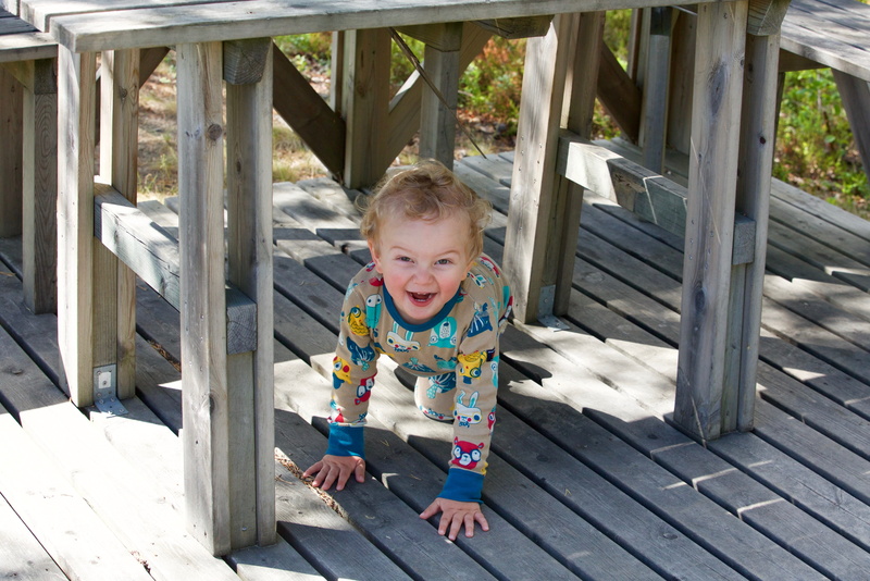 babies And Children, day, Hide And Seek, Paws, boys, color Image, full length, leisure activity, happiness, men, children only, smiling, 5K, smile, innocence